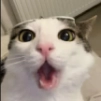 likerbox