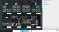 torrent Big Pharma pc games