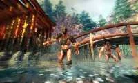 crack Shadow Warrior download
