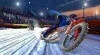 elamigos Winter Sports 2012 download