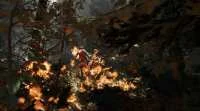 crack The Forest free download