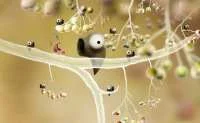 crack Botanicula free download