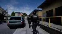 elamigos Drug Dealer Simulator download