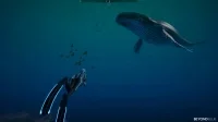 crack Beyond Blue free download