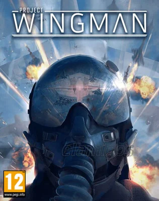Project Wingman