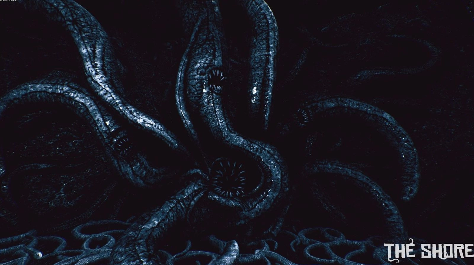 elamigos The Shore download