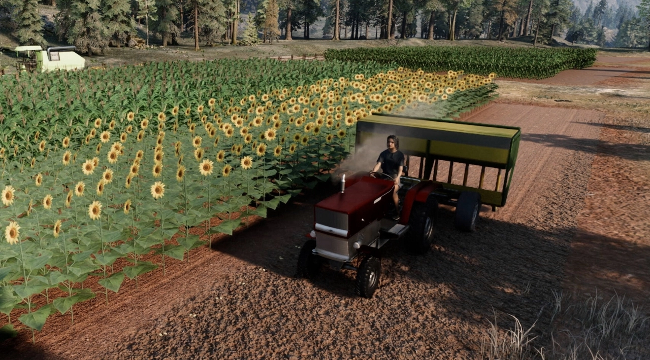 elamigos Ranch Simulator download