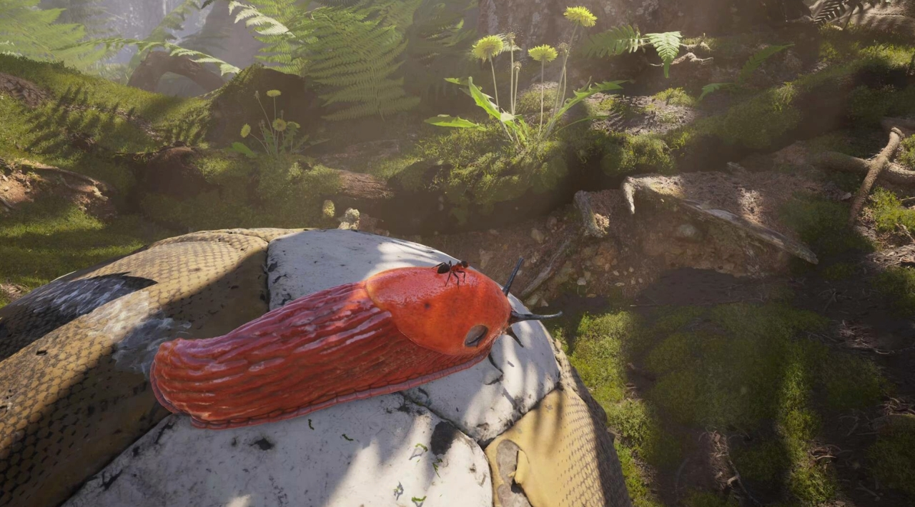 crack Empire of the Ants free download