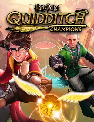 Harry Potter: Quidditch Champions